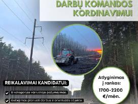Brigadininkas (-ė) medžių pjovimo darbams