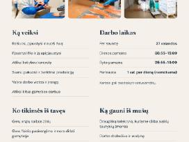 Darbas Žuvies Gamykloje Danijoje, Apmokome!
