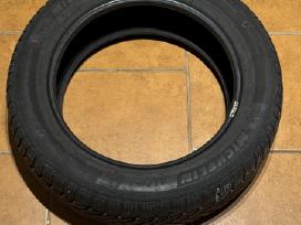 Padangos žieminės Michelin 205/55 R16