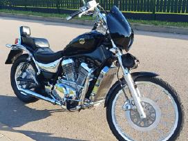 Suzuki VS 800cc, чопперы / круизеры / custom