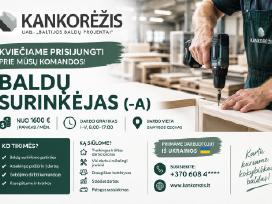 Baldų surinkėjas