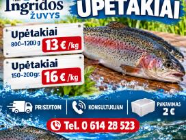 Upėtakiai