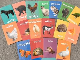 Skelbimo 'Gyvunu korteles mokinimui vaikams' paveikslėlis
