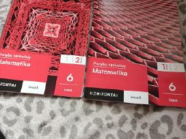 Matematikos pratibos 2 dalis
