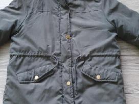 Skelbimo 'Striuke -parka' paveikslėlis