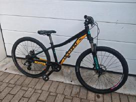 Vaikiškas dviratis nuo 140cm iki 160cm