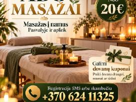 Masažas į namus