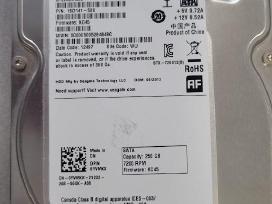 Kietas Diskas 3,5" 250gb