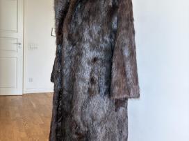 Ilgi norkos kailiniai