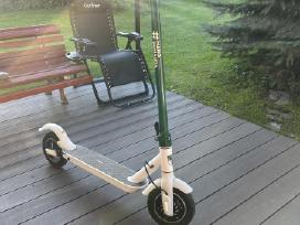 Beaster Scooter Žalgiris paspirtukas. Būklė puiki