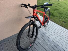 MTB dviratis L 29