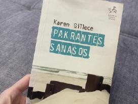 Skelbimo 'Knyga - Pakrantės sąnašos' paveikslėlis