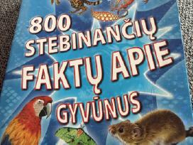 Skelbimo 'Knyga vaikams' paveikslėlis