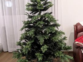Dekoratyvinė najametinė eglutė 200-220cm