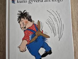 Skelbimo 'Mažylis ir Karlsonas, kuris gyvena ant stogo' paveikslėlis
