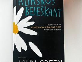 Skelbimo 'Aliaskos beieškant' paveikslėlis