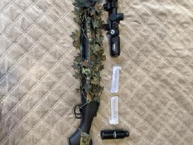 Ssg10