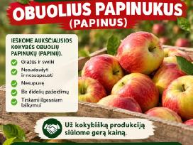 Perkame Obuolius Papinukus (Papinus)