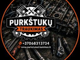 Purkštuku/žvakiu išemimas