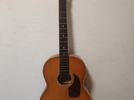 Gitara Suzuki
