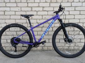 Specialized Rockhopper 29er