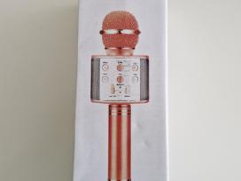 Vaikiškas karaoke mikrofonas