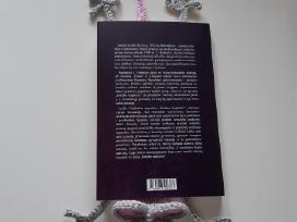 Knygų skirtukas žiūrkė