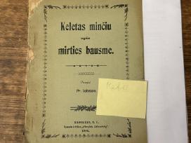 Skelbimo 'Keletas minčių apie mirties bausmę 1909 m.' paveikslėlis