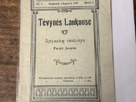 Skelbimo 'Tėvynės laukuose 1909 m.' paveikslėlis