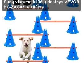 Augintinių Aktyvumas Namuose – Bėgimo Takeliai