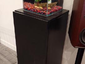 20l akvariumas su zuvytemis, spintele ir priedais