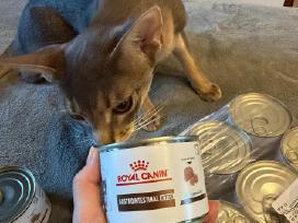 Skelbimo 'Royal canin gastrointestinal paštetas' paveikslėlis