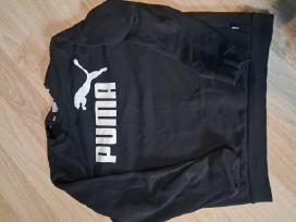 Puma dženperis