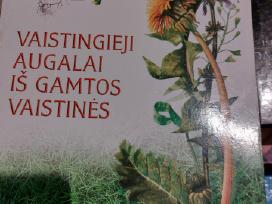 Vaistingieji augalai is gamtos
