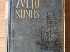 Skelbimo 'Vilis Lacis "Žvejo sūnus"' paveikslėlis