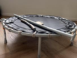 Batutas