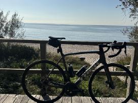 Trek Emonda SL 6 Disc Carbon/ Ultegra/ 58/ 2022