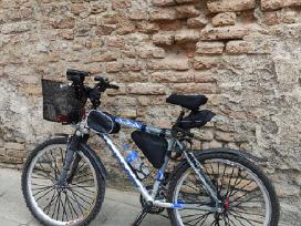 Mongoose Rockadile