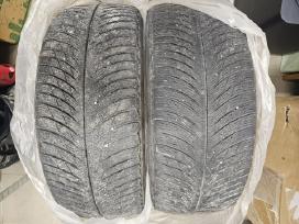 Michelin Pilot Alpin 5 Suv