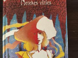 Skelbimo 'Francoise Sagan "Netekęs vilties"' paveikslėlis