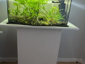 Parduodamas 45l akvariumas su spintele ir žuvytėm
