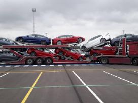 Transporto vadybininkas
