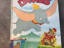 Skelbimo 'Knyga Dambis' paveikslėlis