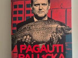 Skelbimo 'Pagauti Palucką' paveikslėlis