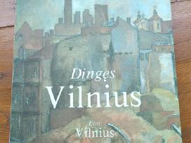 Knyga V. Drėma "Dingęs Vilnius"