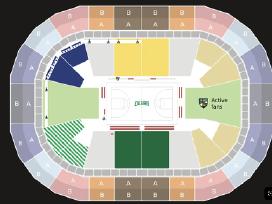 Žalgiris - Anadolu Efes Du Bilietai ( Du Šalia)