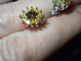 Auksiniai auskarai su briliantais (0,87ct)