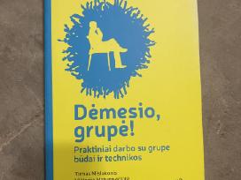Skelbimo 'Dėmesio, grupė! 1 dalis (2014)' paveikslėlis