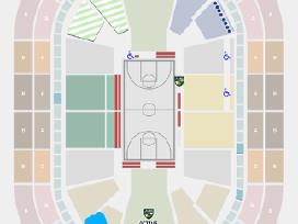 Zalgiris-valencia