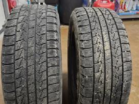 Žieminės Roadstone 205/55r16 91q Winguard Ice